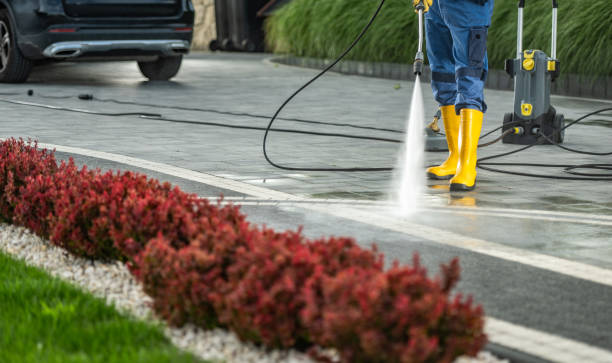Roof Power Washing Services in Denver, CO