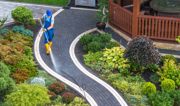 Best Roof Power Washing Services  in Denver, CO